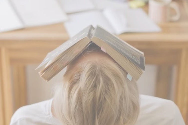 Fedzone Images Student Loans