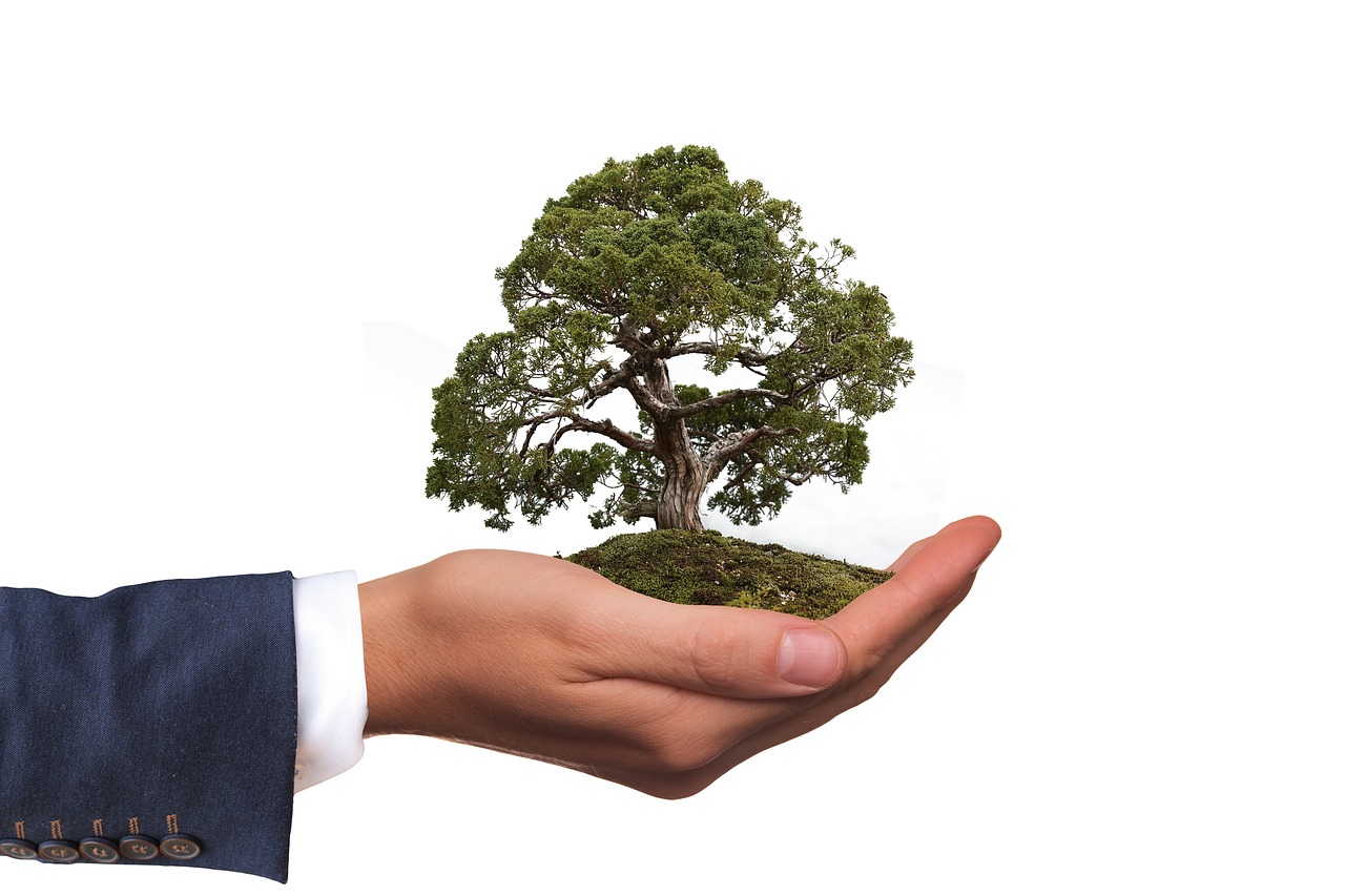 Guide To Esg Investing