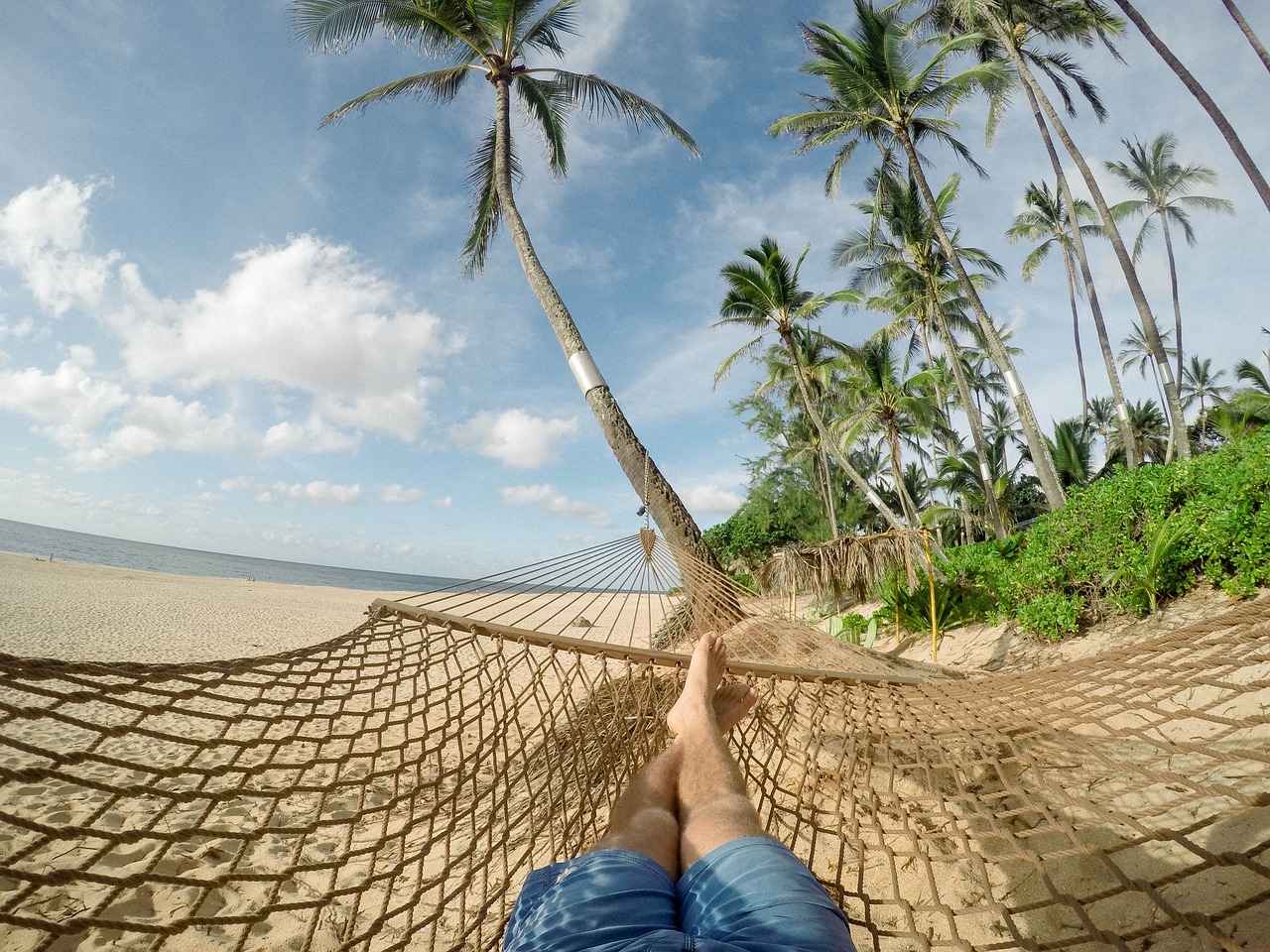Annual Leave Strategy For Feds 2025