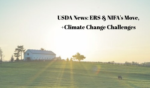 NIFA Understaffed