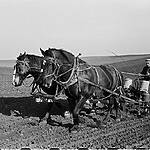 USDA 1930s