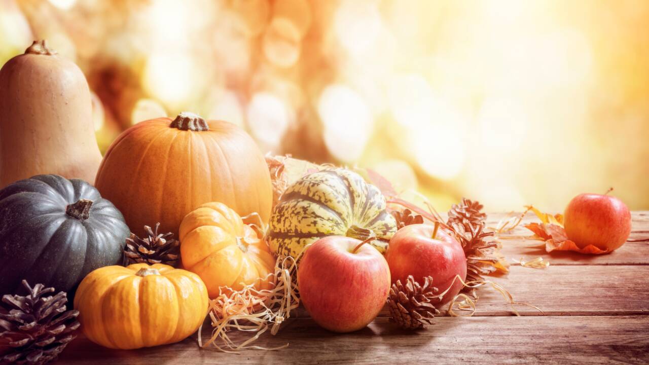 2025,10,21 What We're Thanksful For This Thanksgiving Header Image