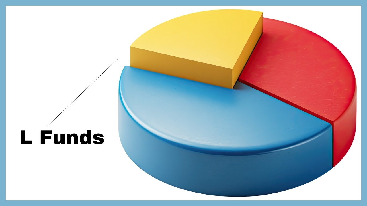 The Complete 2026 Pros And Cons Guide To Tsp L Funds